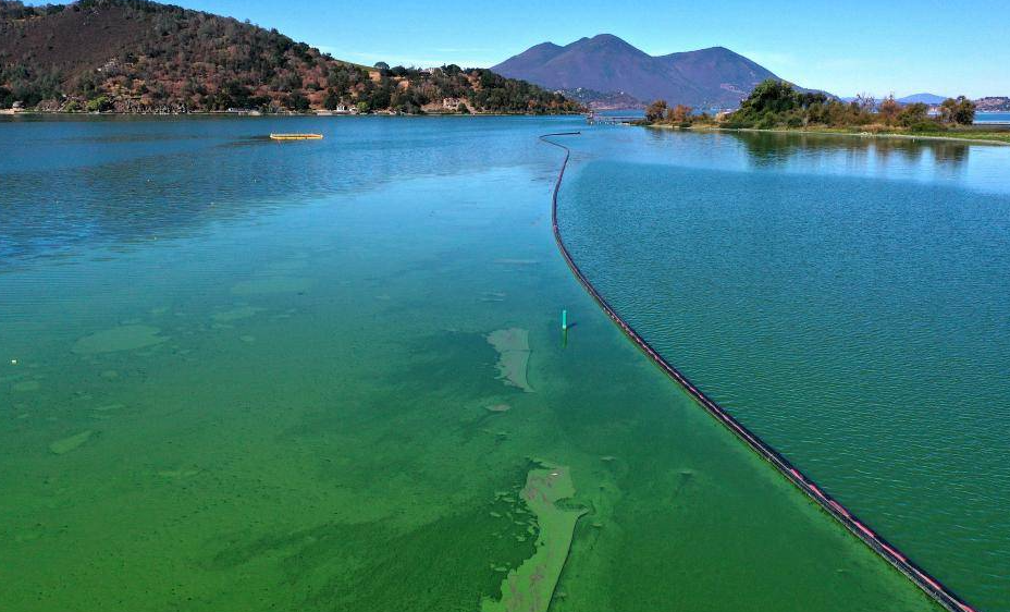 1699338397941691.png 1699338397941691.png