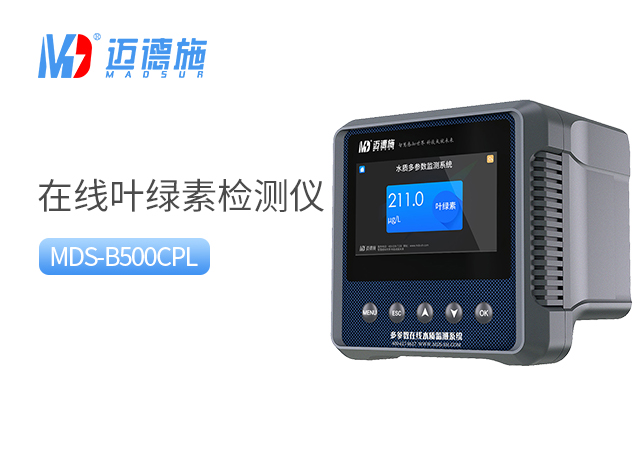 1701154215102755.jpg 葉綠素.jpg