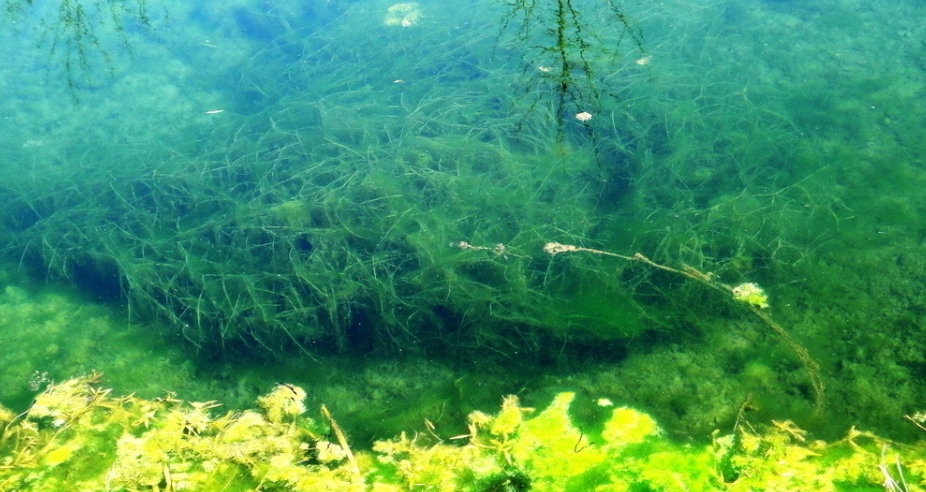 1704855812155771.png 1686123711565.png