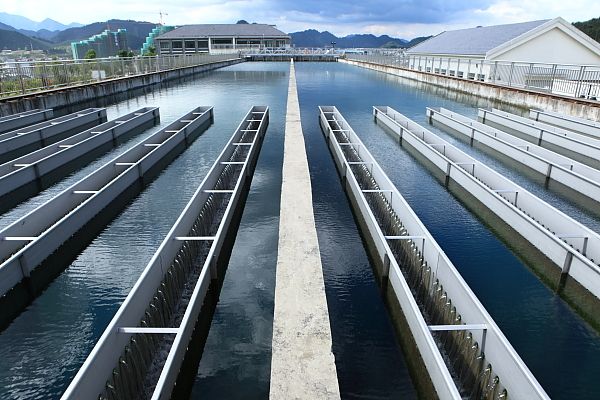 1709099605267905.jpg 自來(lái)水廠.jpg