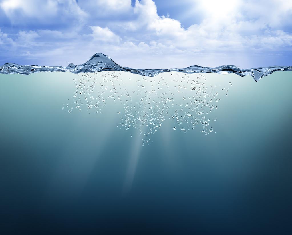 1709619871539315.jpg 1709619871539315.jpg