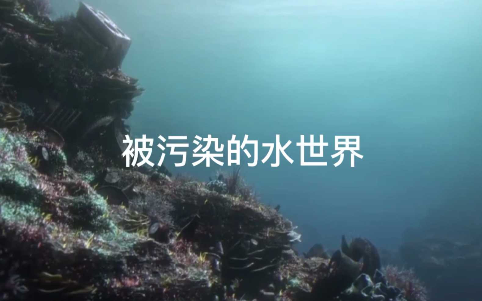 1709620377246768.jpg 1709620377246768.jpg