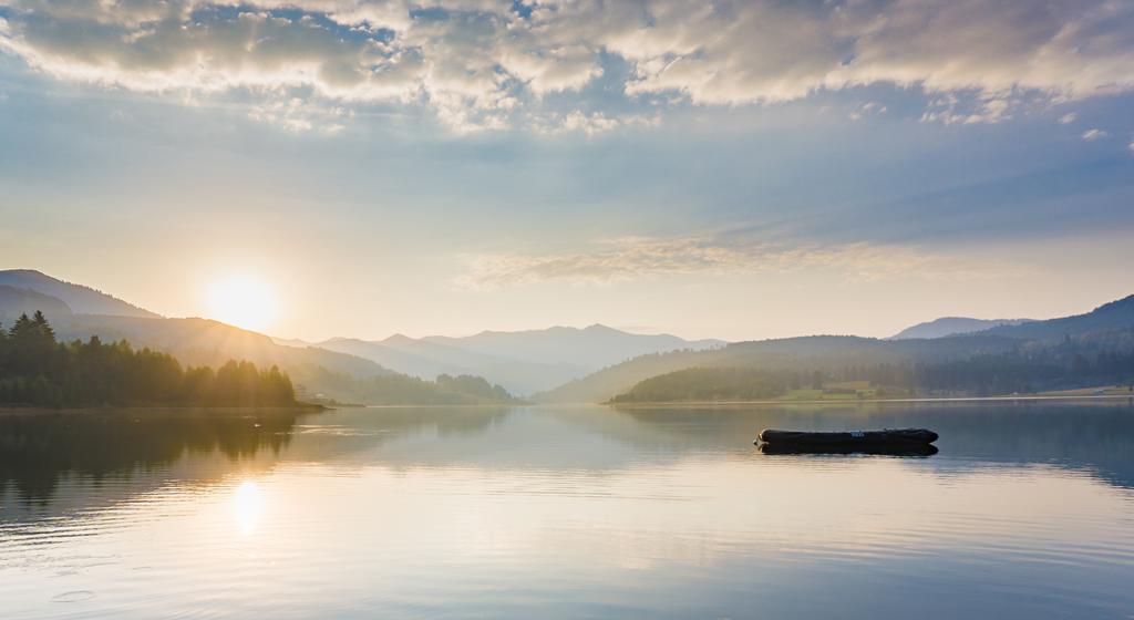 1710555402603365.jpg 1710555402603365.jpg