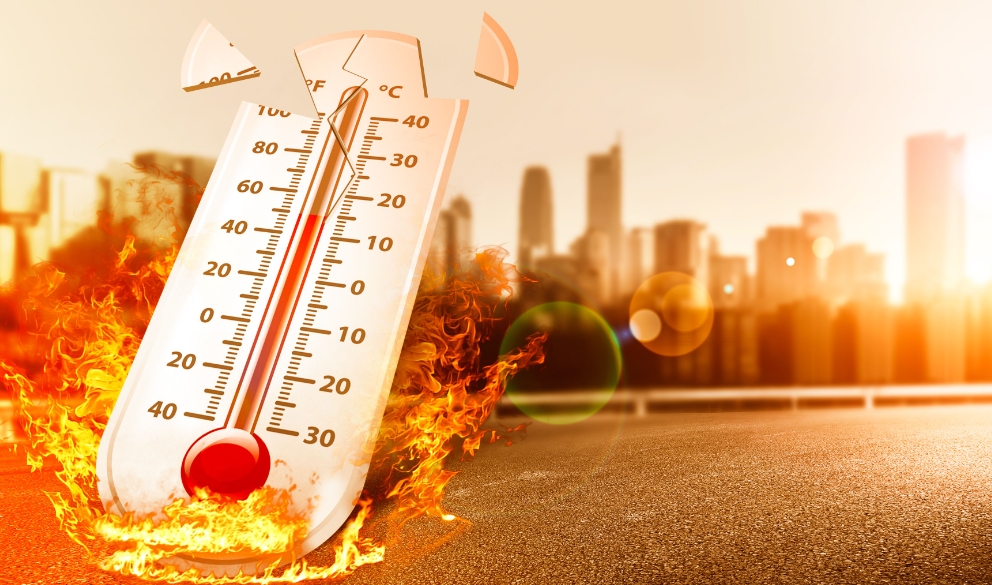 1753844005670511.png 1753844005670511.png